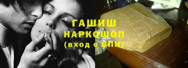 индика Алзамай