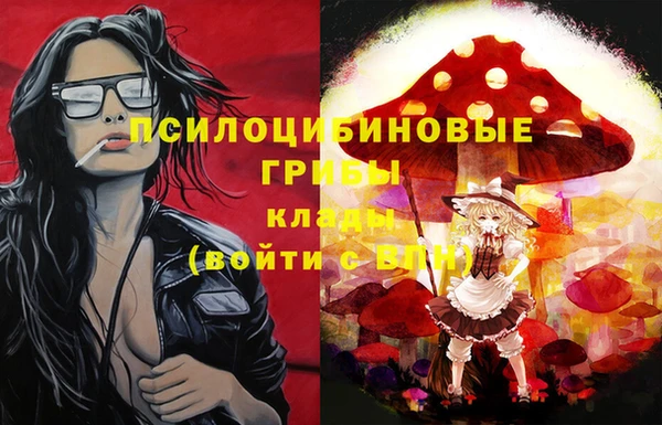 альфа пвп Алексеевка