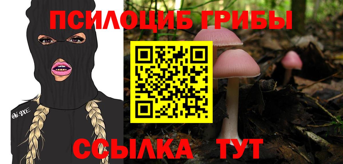 Псилоцибиновые грибы Psilocybine cubensis Нефтекамск